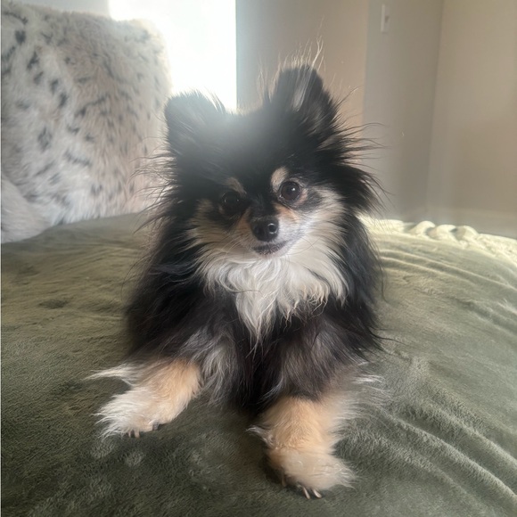 • 𝔪𝔢𝔢𝔱 𝔶𝔬𝔲𝔯 𝔰𝔢𝔩𝔩𝔢𝔯 !! • - Picture 3 of 11